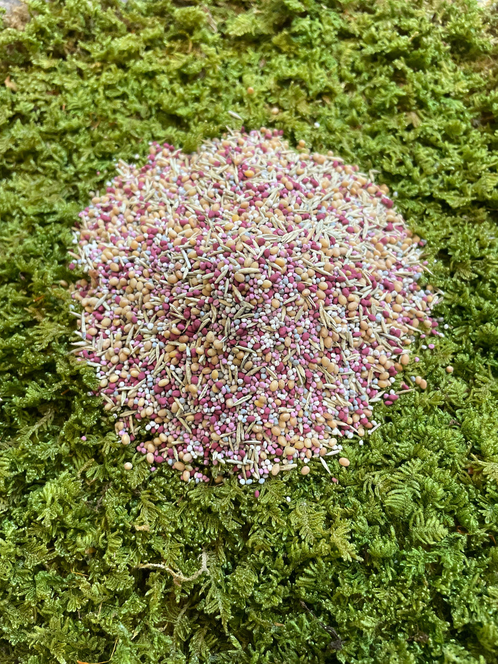 Low Grow™ No-Mow Lawn Mix – Clover & Low-Maintenance Grass Alternative